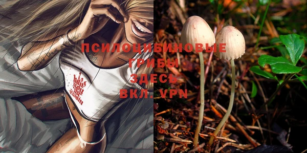 твердый Покров