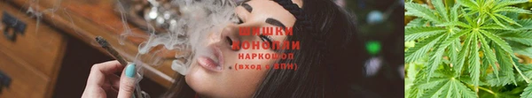 каннабис Покачи